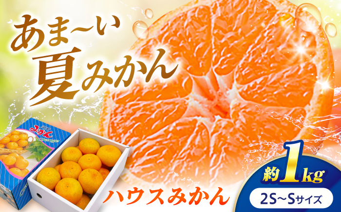 みかん ハウスみかん 約1kg　秀品 【7月下旬から9月下旬まで順次発送】 / フルーツ 果物 柑橘 蜜柑 ミカン オレンジ 小玉 甘い 先行予約 約 1kg 果汁 人気 おすすめ ギフト プレゼント 贈答 化粧箱 / 愛媛県砥部町/株式会社フジ・アグリフーズ [BJBI014]