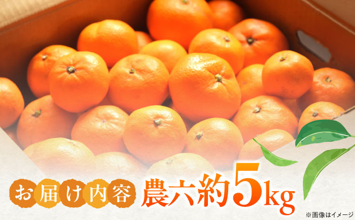 みかん 農六 約5kg【2月上旬から3月下旬まで順次発送】 / フルーツ 果物 蜜柑 ミカン オレンジ 小玉 甘い 先行予約 5kg 愛媛 / 愛媛県砥部町/和氣隆司 [BJBF001]