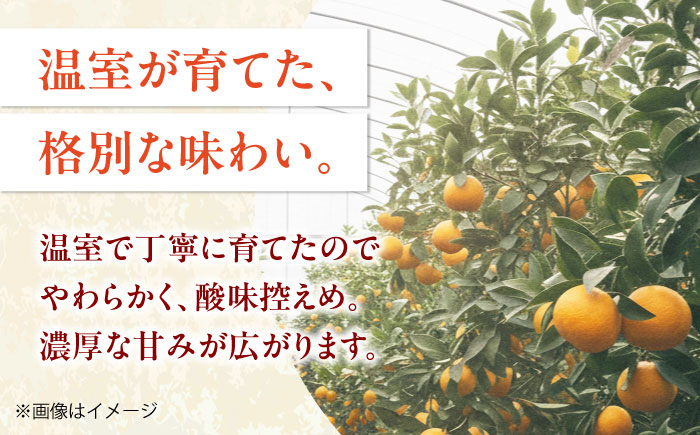 ハウスみかん 2kg 【7月下旬から9月下旬まで順次発送】 / フルーツ 果物 蜜柑 ミカン オレンジ 小玉 甘い 先行予約 2kg 愛媛 / 愛媛県砥部町/株式会社フジ・アグリフーズ [BJBI001]