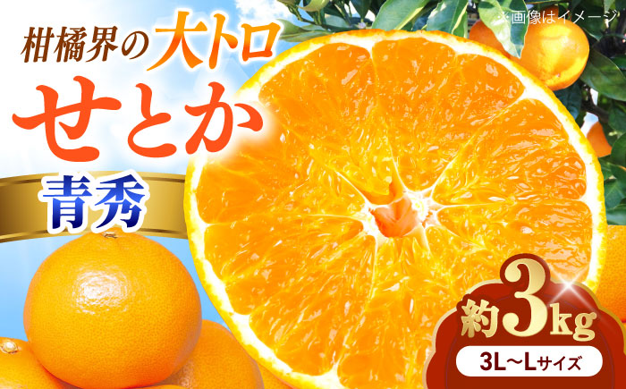 みかん せとか 青秀 約3kg 3L-Lサイズ【1月中旬から2月中旬まで順次発送】/ フルーツ 果物 蜜柑 ミカン オレンジ 甘い 先行予約 3kg 愛媛 / 愛媛県砥部町/えひめ中央農業協同組合 [BJCG007]