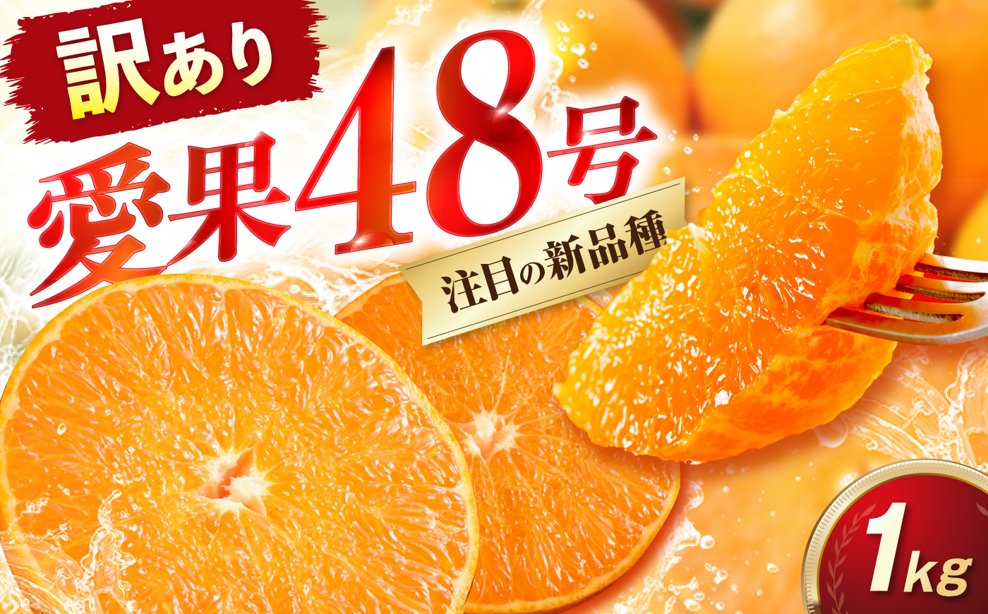 みかん 訳あり 愛果48号 約1kg サイズ不揃い【3月中旬から4月下旬まで順次発送】/ フルーツ 果物 蜜柑 ミカン オレンジ 訳あり 訳アリ 小玉 甘い 先行予約 1kg 愛媛 / 愛媛県砥部町/えひめ農園組合 [BJAZ012]