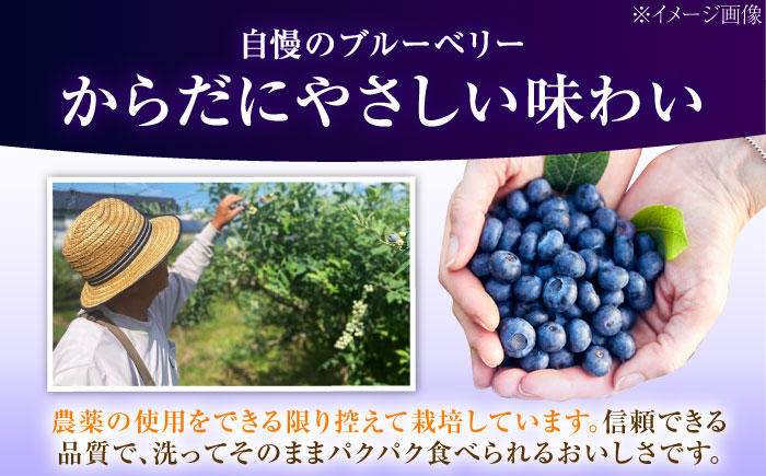 ブルーベリー 生ブルーベリー110ｇ×10パック【7月上旬から8月下旬まで順次発送】 / 冷蔵 フルーツ 果物 ブルーベリー 生 ジャム スムージー ドリンク / 愛媛県砥部町/西岡さん家のみかん園 [BJBG004]