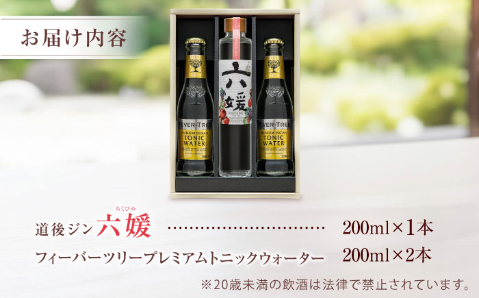 クラフトジン 道後ジン 六媛 200ml×1本・トニック 200ml×2本 セット / クラフトジン ジントニック セット 飲み比べ スピリッツ / 愛媛県砥部町/水口酒造株式会社 [BJAI001]