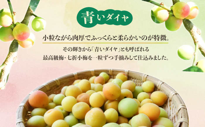 【全3回定期便】梅シロップ 七折小梅の梅シロップ 500ml×6本 / 梅シロップ シロップ 梅 うめ ウメ 七折小梅 梅ジュース 国産 砂糖 炭酸割り うめジュース 希釈用 おいしい 家庭用 人気 おすすめ / 愛媛県砥部町/農事組合法人ななおれ梅組合 [BJAG010]