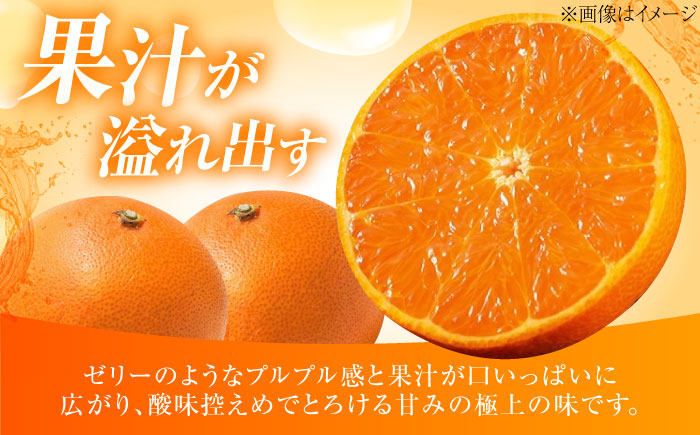 みかん 愛果28号 約2.7kg M-Lサイズ【12月上旬から2月下旬まで順次発送】 / フルーツ 果物 蜜柑 ミカン オレンジ 甘い 先行予約 約 3kg 愛媛 / 愛媛県砥部町/西岡さん家のみかん園 [BJBG001]