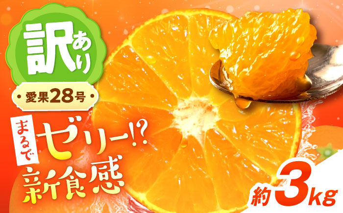 みかん 訳あり 愛果28号 約3kg サイズ不揃い【12月中旬から翌年1月中旬まで順次発送】 / フルーツ 果物 蜜柑 ミカン オレンジ 訳あり 訳アリ 小玉 甘い 先行予約 3kg 愛媛 / 愛媛県砥部町/えひめ農園組合 [BJAZ002]