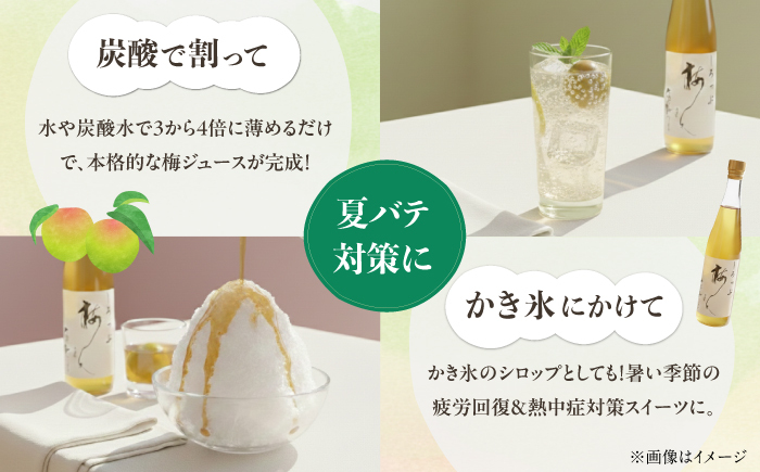 【全3回定期便】梅シロップ 七折小梅の梅シロップ 500ml×6本 / 梅シロップ シロップ 梅 うめ ウメ 七折小梅 梅ジュース 国産 砂糖 炭酸割り うめジュース 希釈用 おいしい 家庭用 人気 おすすめ / 愛媛県砥部町/農事組合法人ななおれ梅組合 [BJAG010]
