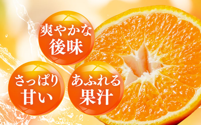 みかん 訳あり はれひめ 約3kg サイズ不揃い【12月上旬から翌年1月上旬まで順次発送】 / フルーツ 果物 蜜柑 ミカン オレンジ 訳あり 訳アリ 小玉 甘い 先行予約 3kg 愛媛 / 愛媛県砥部町/えひめ農園組合 [BJAZ003]