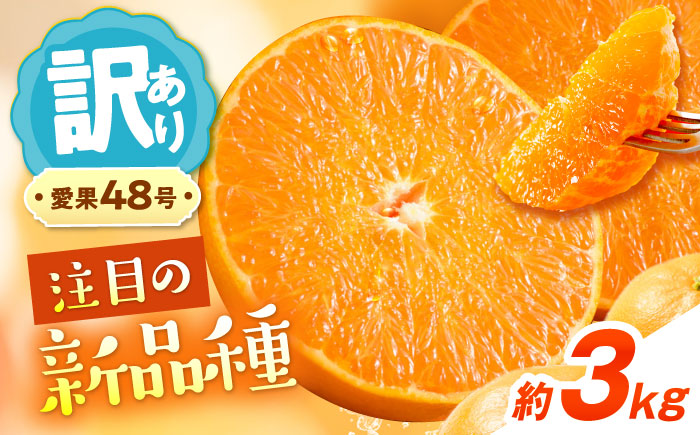 みかん 訳あり 愛果48号 約3kg サイズ不揃い【3月中旬から4月下旬まで順次発送】/ フルーツ 果物 蜜柑 ミカン オレンジ 訳あり 訳アリ 小玉 甘い 先行予約 3kg 愛媛 / 愛媛県砥部町/えひめ農園組合 [BJAZ001]