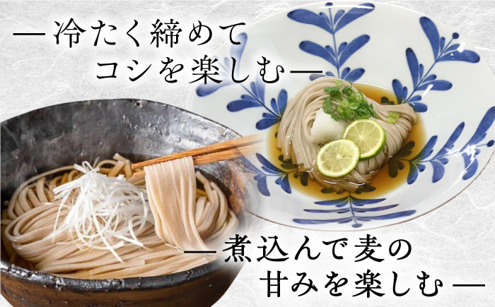 うどん もち麦のうどん(200g×20袋)40食分 / うどん 愛媛県産 もち麦 練り込み 常温 長期保存可 詰合せ 食物繊維 もちもち 食感 冷うどん 温うどん / 愛媛県砥部町/五色そうめん株式会社 [BJAY001]
