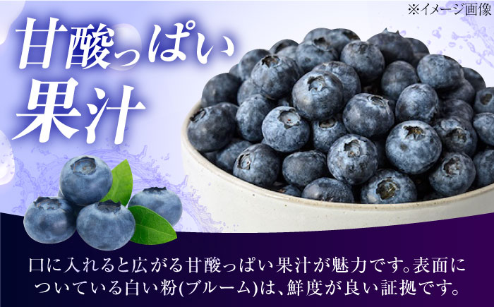 ブルーベリー 生ブルーベリー110ｇ×10パック【7月上旬から8月下旬まで順次発送】 / 冷蔵 フルーツ 果物 ブルーベリー 生 ジャム スムージー ドリンク / 愛媛県砥部町/西岡さん家のみかん園 [BJBG004]