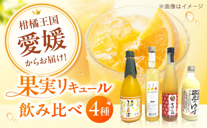 リキュール 果実系リキュール 呑み比べ 4本セット / お酒 果実酒セット 詰め合わせ 飲み比べセット リキュール / 愛媛県砥部町/愛媛県酒造協同組合 [BJAV001]