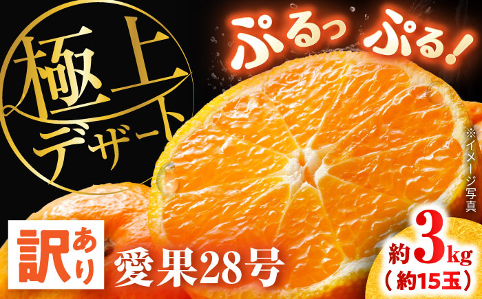 みかん 訳あり 愛果28号 サイズ不揃い 約3kg 約15玉【12月上旬から12月下旬まで順次発送】/ フルーツ 果物 蜜柑 ミカン オレンジ 訳あり 訳アリ 小玉 甘い 先行予約 3kg 愛媛 / 愛媛県砥部町/株式会社電子食品流通研究所 [BJBL002]