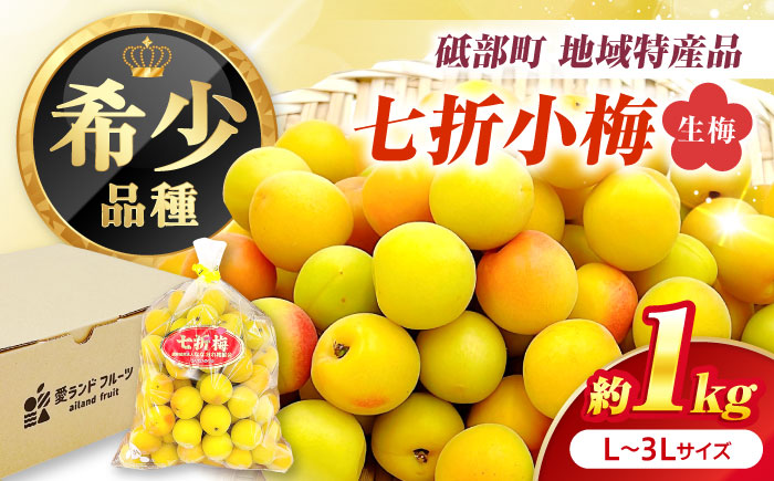 梅 七折小梅(生梅)  約1kg 【5月中旬から6月下旬まで順次発送】 / 小梅 青梅 生梅 梅干し 梅干 梅酒 梅ジュース 梅シロップ 1kg 先行予約 / 愛媛県砥部町/株式会社フジ・アグリフーズ [BJBI013]