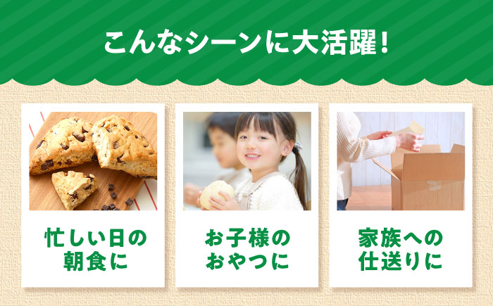 スコーン チョコスコーン 20個 / スイーツ おやつ お菓子 チョコ チョコレート 非常食 ギフト / 愛媛県砥部町/株式会社四国シキシマパン [BJAA004]
