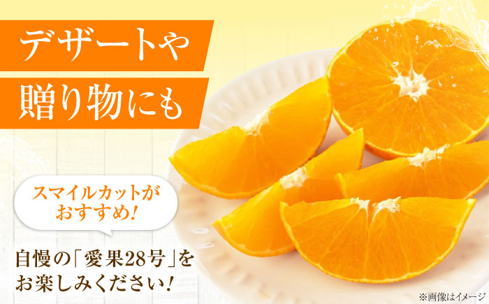 みかん 愛果28号 約2.7kg M-Lサイズ【12月上旬から2月下旬まで順次発送】 / フルーツ 果物 蜜柑 ミカン オレンジ 甘い 先行予約 約 3kg 愛媛 / 愛媛県砥部町/西岡さん家のみかん園 [BJBG001]