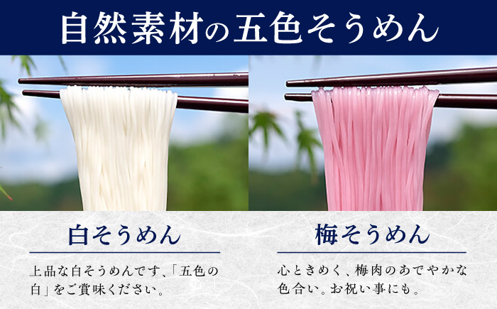 そうめん 手延べ五色そうめん化粧箱入 3kg(50g×60束) / もち麦 みかん 梅 抹茶 練り込み色麺 素麺 カラフル 色付き 小分け 常温 長期保存 詰合せ ランチ 夜食 冷 温 / 愛媛県砥部町/五色そうめん株式会社 [BJAY002]