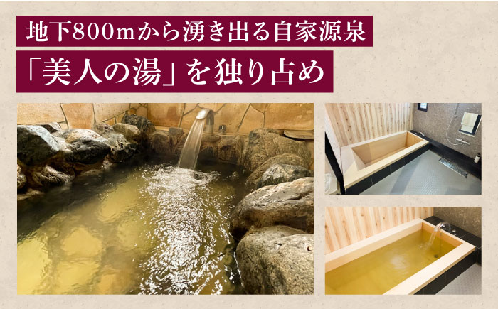 宿泊券 南道後温泉ホテルていれぎ館 1泊朝食付ペア宿泊券 / 一般客室 旅館 天然温泉 関西 四国 口コミ 朝ごはん 動物園 人気 砥部焼 愛媛県砥部町/株式会社プログレッソ [BJBD001]