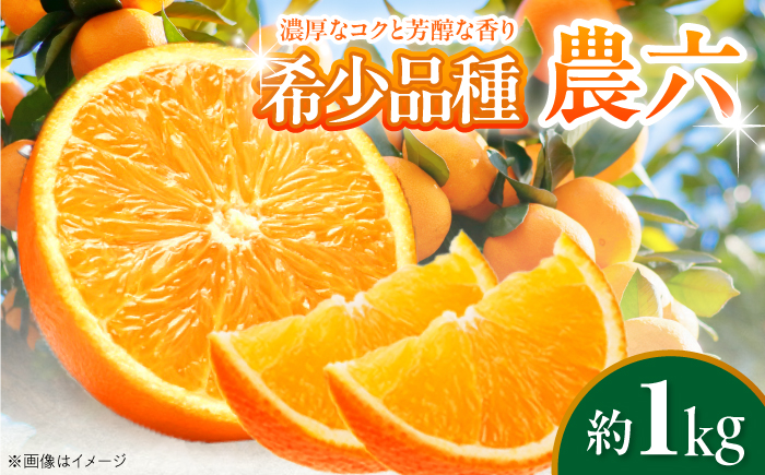 みかん 農六 約1kg【2月上旬から3月下旬まで順次発送】 / フルーツ 果物 蜜柑 ミカン オレンジ 小玉 甘い 先行予約 1kg 愛媛 / 愛媛県砥部町/和氣隆司 [BJBF002]