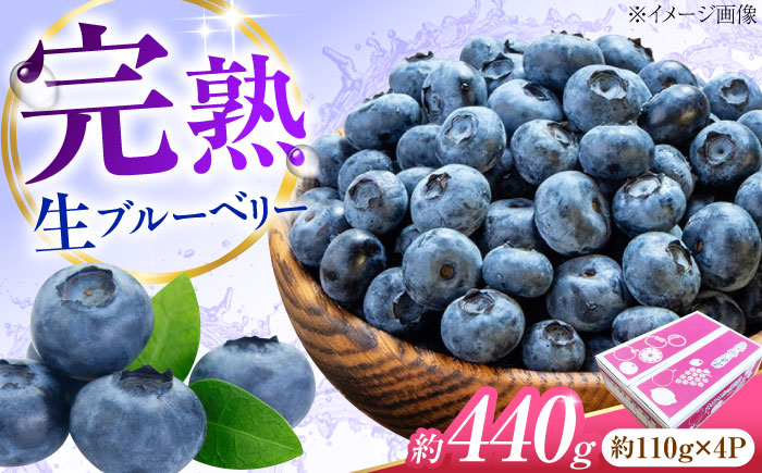 ブルーベリー 生ブルーベリー110ｇ×4パック【7月上旬から9月下旬まで順次発送】 / 冷蔵 フルーツ 果物 ブルーベリー 生 ジャム スムージー ドリンク / 愛媛県砥部町/西岡さん家のみかん園 [BJBG003]
