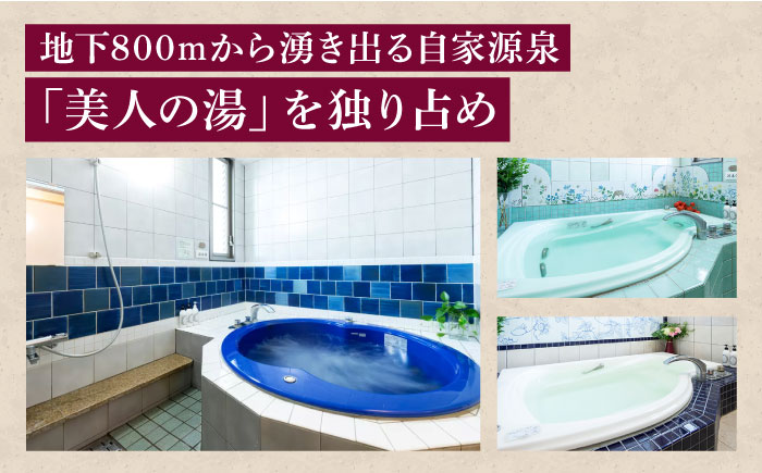 宿泊券 南道後温泉ホテルていれぎ館 1泊朝食付ペア宿泊券 特別客室 とべりて ルーム限定 / 宿泊券 ペア 1泊朝食付 温泉 ホテルていれぎ館 特別客室 とべりて / 愛媛県砥部町/株式会社プログレッソ [BJBD002]