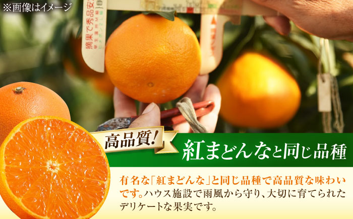 みかん 訳あり 愛果28号 約3kg サイズ不揃い【11月下旬から12月下旬まで順次発送】 / フルーツ 果物 蜜柑 ミカン オレンジ 訳あり 訳アリ 小玉 甘い 先行予約 3kg 愛媛 / 愛媛県砥部町/株式会社フルーツファーム健治郎 [BJBE001]