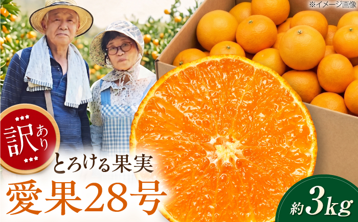 みかん 訳あり 愛果28号 約3kg【12月上旬から2月下旬まで順次発送】 / フルーツ 果物 蜜柑 ミカン オレンジ 訳あり 訳アリ 小玉 甘い 先行予約 約3kg 愛媛 / 愛媛県砥部町/西岡さん家のみかん園 [BJBG007]