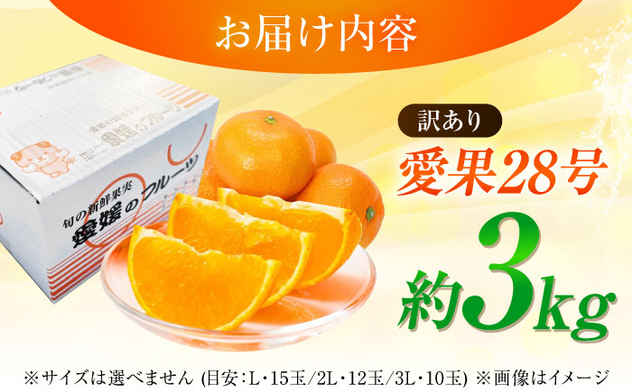 みかん 訳あり 愛果28号 約3kg サイズ不揃い【11月下旬から12月下旬まで順次発送】 / フルーツ 果物 蜜柑 ミカン オレンジ 訳あり 訳アリ 小玉 甘い 先行予約 3kg 愛媛 / 愛媛県砥部町/株式会社フルーツファーム健治郎 [BJBE001]