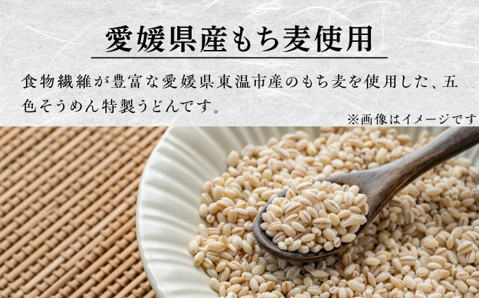 うどん もち麦のうどん(200g×20袋)40食分 / うどん 愛媛県産 もち麦 練り込み 常温 長期保存可 詰合せ 食物繊維 もちもち 食感 冷うどん 温うどん / 愛媛県砥部町/五色そうめん株式会社 [BJAY001]