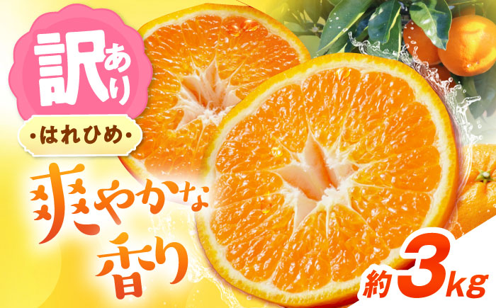 みかん 訳あり はれひめ 約3kg サイズ不揃い【12月上旬から翌年1月上旬まで順次発送】 / フルーツ 果物 蜜柑 ミカン オレンジ 訳あり 訳アリ 小玉 甘い 先行予約 3kg 愛媛 / 愛媛県砥部町/えひめ農園組合 [BJAZ003]