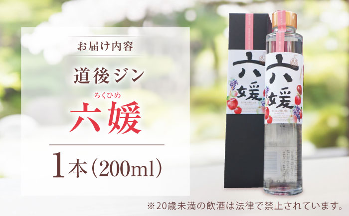クラフトジン 道後ジン六媛 200ml×1本 / クラフトジン 蒸留酒 お酒 ジン スピリッツ 地酒 / 愛媛県砥部町/水口酒造株式会社 [BJAI003]