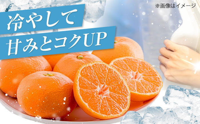 ハウスみかん 2kg 【7月下旬から9月下旬まで順次発送】 / フルーツ 果物 蜜柑 ミカン オレンジ 小玉 甘い 先行予約 2kg 愛媛 / 愛媛県砥部町/株式会社フジ・アグリフーズ [BJBI001]