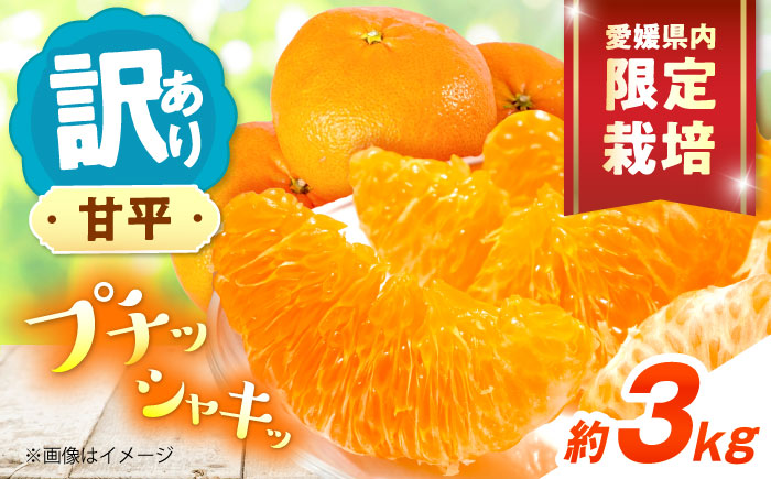 みかん 訳あり 甘平 サイズ不揃い 約3kg【1月上旬から2月下旬まで順次発送】/ フルーツ 果物 蜜柑 ミカン オレンジ 訳あり 訳アリ 小玉 甘い 先行予約 3kg 愛媛 / 愛媛県砥部町/えひめ農園組合 [BJAZ005]