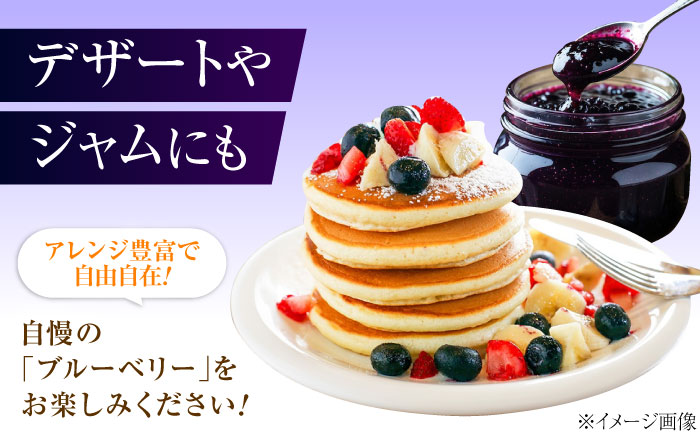 ブルーベリー 生ブルーベリー110ｇ×4パック【7月上旬から9月下旬まで順次発送】 / 冷蔵 フルーツ 果物 ブルーベリー 生 ジャム スムージー ドリンク / 愛媛県砥部町/西岡さん家のみかん園 [BJBG003]