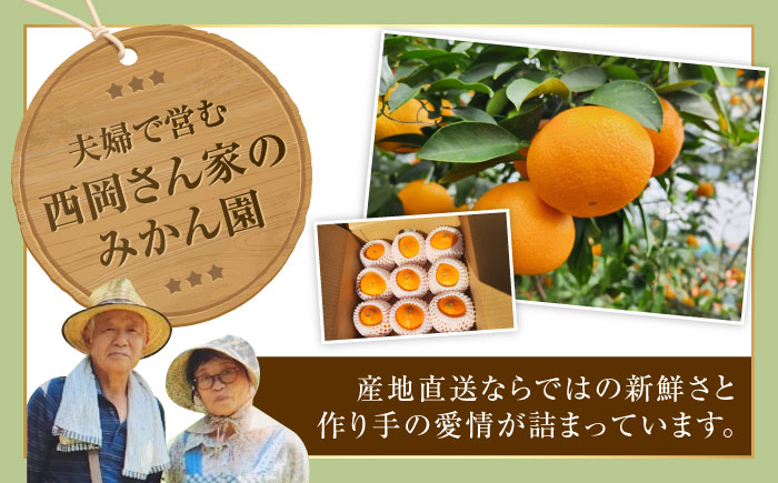 みかん 愛果28号 約2.7kg M-Lサイズ【12月上旬から2月下旬まで順次発送】 / フルーツ 果物 蜜柑 ミカン オレンジ 甘い 先行予約 約 3kg 愛媛 / 愛媛県砥部町/西岡さん家のみかん園 [BJBG001]