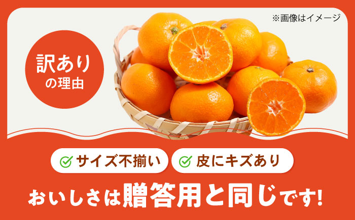 みかん 訳あり はれひめ 約3kg サイズ不揃い【12月上旬から翌年1月上旬まで順次発送】 / フルーツ 果物 蜜柑 ミカン オレンジ 訳あり 訳アリ 小玉 甘い 先行予約 3kg 愛媛 / 愛媛県砥部町/えひめ農園組合 [BJAZ003]