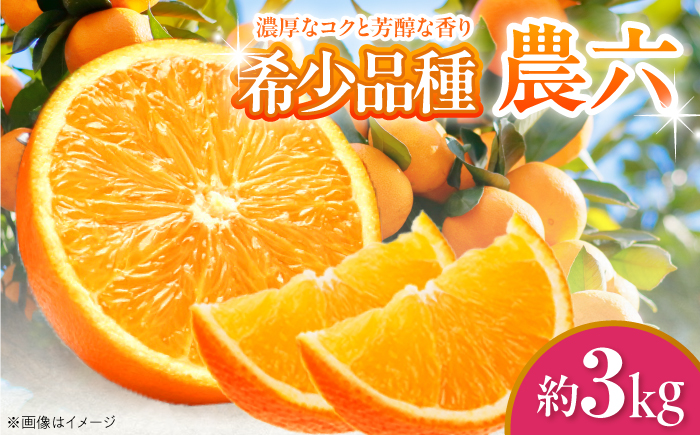 みかん 農六 約3kg【2月上旬から3月下旬まで順次発送】 / フルーツ 果物 蜜柑 ミカン オレンジ 小玉 甘い 先行予約 3kg 愛媛 / 愛媛県砥部町/和氣隆司 [BJBF003]