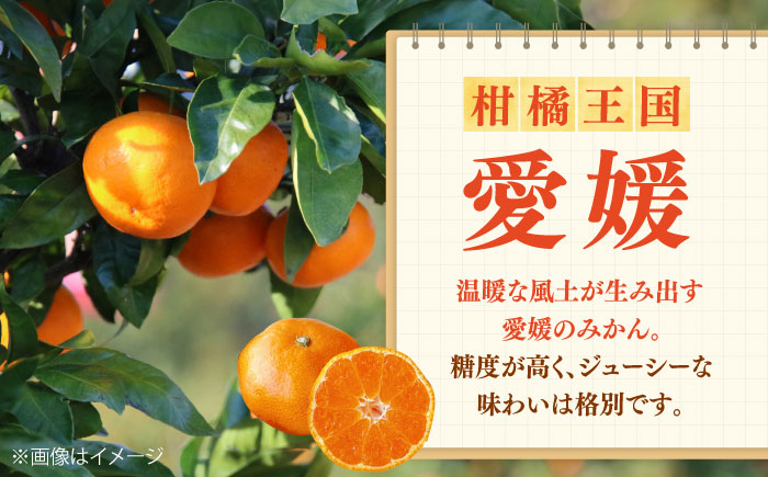 みかんジュース POM愛媛みかんストレート 1L×6本入 / 愛媛県産 温州みかん 柑橘 ミカン オレンジ ポンジュース ジュース 飲み物 ストレート 濃厚 コク 甘い フレッシュ 果汁飲料 / 愛媛県砥部町/全国農業協同組合連合会愛媛県本部(砥部町) [BJAT001]