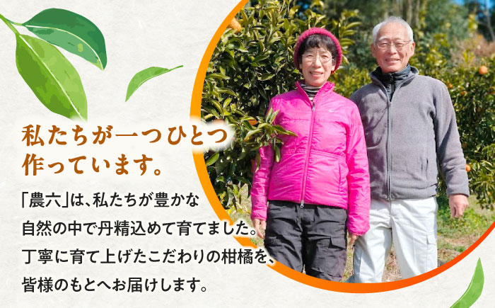 みかん 農六 約5kg【2月上旬から3月下旬まで順次発送】 / フルーツ 果物 蜜柑 ミカン オレンジ 小玉 甘い 先行予約 5kg 愛媛 / 愛媛県砥部町/和氣隆司 [BJBF001]