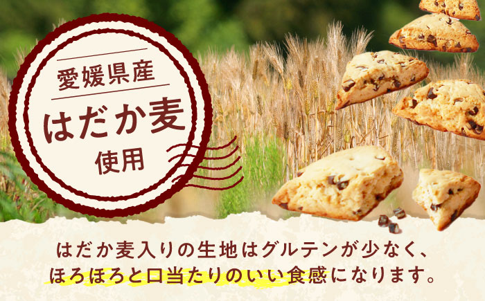 スコーン チョコスコーン 20個 / スイーツ おやつ お菓子 チョコ チョコレート 非常食 ギフト / 愛媛県砥部町/株式会社四国シキシマパン [BJAA004]