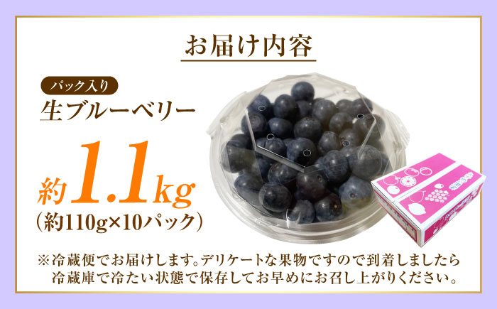 ブルーベリー 生ブルーベリー110ｇ×10パック【7月上旬から8月下旬まで順次発送】 / 冷蔵 フルーツ 果物 ブルーベリー 生 ジャム スムージー ドリンク / 愛媛県砥部町/西岡さん家のみかん園 [BJBG004]