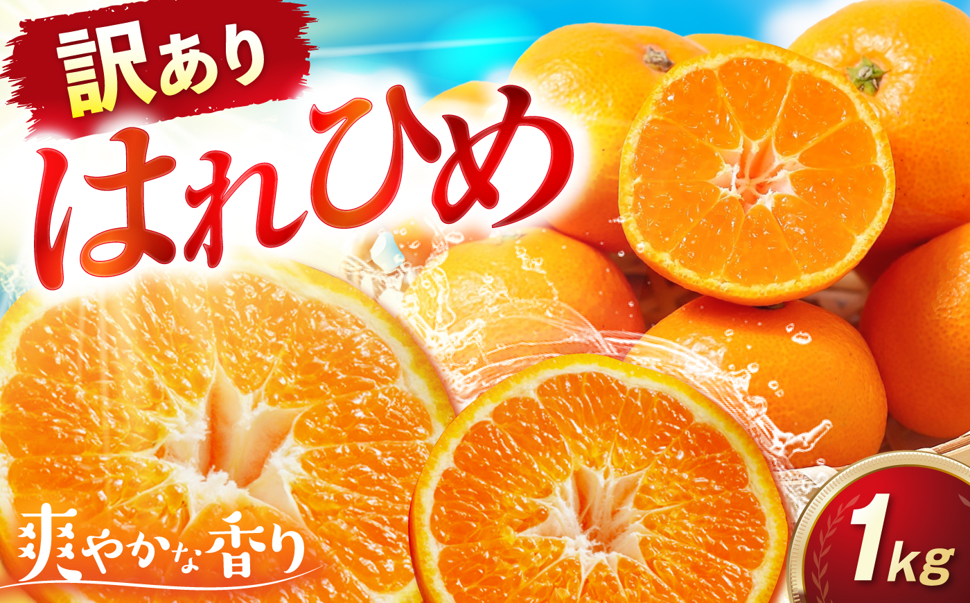 みかん 訳あり はれひめ 約1kg サイズ不揃い【12月上旬から翌年1月上旬まで順次発送】 / フルーツ 果物 蜜柑 ミカン オレンジ 訳あり 訳アリ 小玉 甘い 先行予約 1kg 愛媛 / 愛媛県砥部町/えひめ農園組合 [BJAZ018]