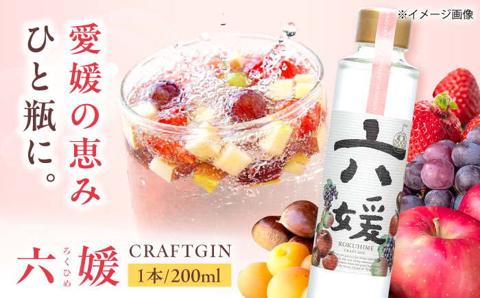クラフトジン 道後ジン六媛 200ml×1本 / クラフトジン 蒸留酒 お酒 ジン スピリッツ 地酒 / 愛媛県砥部町/水口酒造株式会社 [BJAI003]