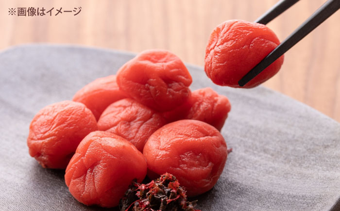 梅 七折小梅(生梅) 2kg 【5月中旬から6月下旬まで順次発送】 / 小梅 青梅 生梅 梅干し 梅干 梅酒 梅ジュース 梅シロップ 2kg 先行予約 / 愛媛県砥部町/株式会社フジ・アグリフーズ [BJBI011]