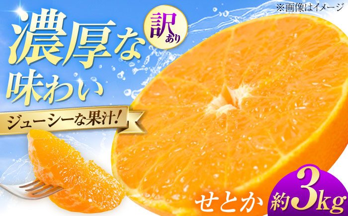 みかん 訳あり せとか 約3kg サイズ不揃い【1月下旬から2月中旬まで順次発送】/ フルーツ 果物 蜜柑 ミカン オレンジ 訳あり 訳アリ 小玉 甘い 先行予約 3kg 愛媛 / 愛媛県砥部町/株式会社フルーツファーム健治郎 [BJBE002]