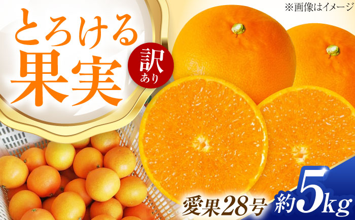 みかん 訳あり 愛果28号 約5kg【12月上旬から2月下旬まで順次発送】 / フルーツ 果物 蜜柑 ミカン オレンジ 訳あり 訳アリ 小玉 甘い 先行予約 約 5kg 愛媛 / 愛媛県砥部町/西岡さん家のみかん園 [BJBG002]