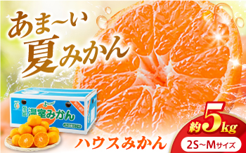 みかん ハウスみかん 約5kg ご家庭用 【7月下旬から9月下旬まで順次発送】 / フルーツ 果物 柑橘 蜜柑 ミカン はうすみかん オレンジ 小玉 甘い 先行予約 約 5kg 愛媛 果汁 人気 おすすめ  / 愛媛県砥部町/株式会社フジ・アグリフーズ [BJBI015]