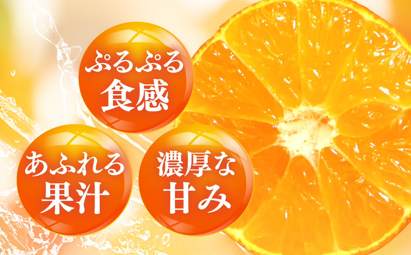 みかん 訳あり 愛果28号 約5kg サイズ不揃い【12月中旬から翌年1月中旬まで順次発送】 / フルーツ 果物 蜜柑 ミカン オレンジ 訳あり 訳アリ 小玉 甘い 先行予約 5kg 愛媛 / 愛媛県砥部町/えひめ農園組合 [BJAZ016]