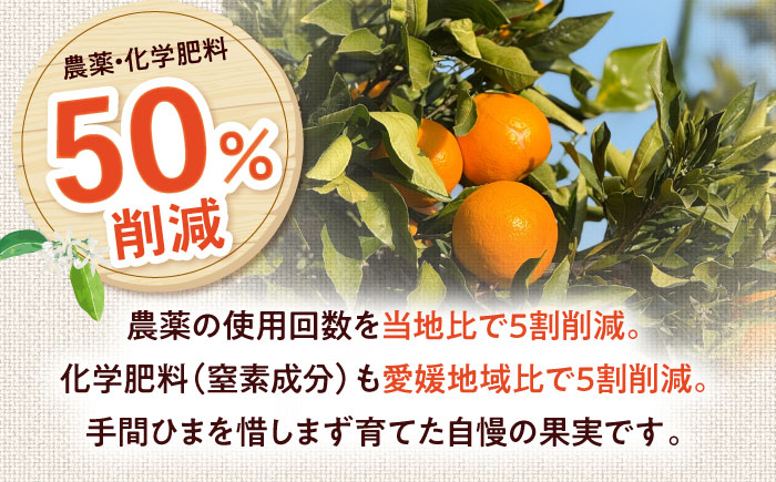 みかん 訳あり はれひめ 約3kg サイズ不揃い【12月上旬から翌年1月上旬まで順次発送】 / フルーツ 果物 蜜柑 ミカン オレンジ 訳あり 訳アリ 小玉 甘い 先行予約 3kg 愛媛 / 愛媛県砥部町/えひめ農園組合 [BJAZ003]
