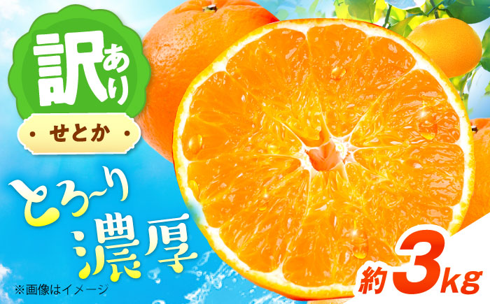 みかん 訳あり せとか 約3kg サイズ不揃い【2月下旬から3月下旬まで順次発送】 / フルーツ 果物 蜜柑 ミカン オレンジ 訳あり 訳アリ 小玉 甘い 先行予約 3kg 愛媛 / 愛媛県砥部町/えひめ農園組合 [BJAZ004]